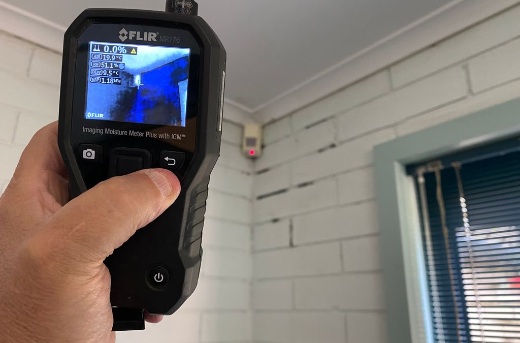 5 Reasons Why Mould Remediation is Important 